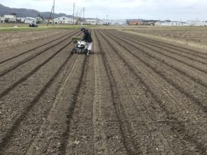 2020だだちゃ豆の植え付け開始